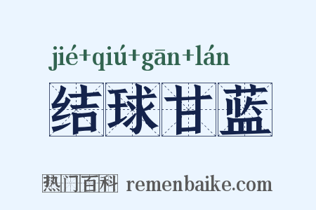 结球甘蓝是什么意思的图片